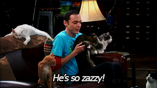 Sheldon zazzy